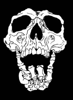 Let's Change Everything